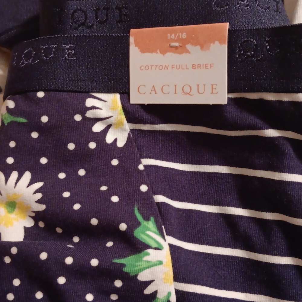 Panties - Picture 6 of 6